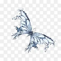 水晶蝴蝶-空若网 水晶蝴蝶-空若网