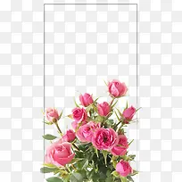 创意时尚花卉图案造型-空若网 创意时尚花卉图案造型-空若网