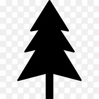 冷杉树名项目图标-空若网 冷杉树名项目图标-空若网