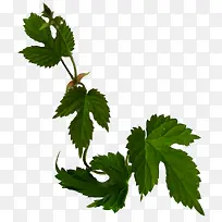 »¨»Üͼ°¸Ëزύ²ÝʸÁ¿Í¼ËزÄ-¿ÕÈôÍø »¨»Üͼ°¸Ëزύ²ÝʸÁ¿Í¼ËزÄ-¿ÕÈôÍø