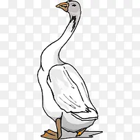 ��ɫ�Ķ���-������