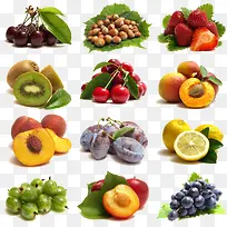 新鲜水果 水果-空若网 新鲜水果 水果-空若网