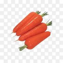 萝卜果蔬-空若网 萝卜果蔬-空若网