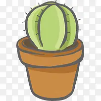 手工仙人草-空若网 手工仙人草-空若网