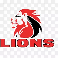 埃利斯公园体育场金狮超级橄榄球十字军-橄榄球-空若网 埃利斯公园体育场金狮超级橄榄球十字军-橄榄球-空若网