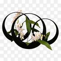 白色蝴蝶花-空若网 白色蝴蝶花-空若网