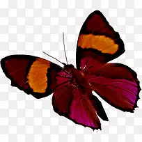 ʱ���Ųʿɰ���ɫ����-������