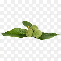 三角形排列的并蒂核桃核桃叶-空若网 三角形排列的并蒂核桃核桃叶-空若网