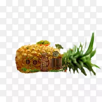 素菜菠萝水彩画水果菠萝屋-空若网 素菜菠萝水彩画水果菠萝屋-空若网