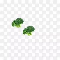 西兰花蔬菜图标-花椰菜-空若网 西兰花蔬菜图标-花椰菜-空若网