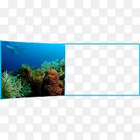 �Ӿ�������ɫ�߿�-������