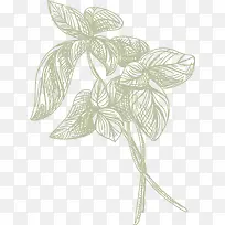 叶子火锅食物佐料-空若网 叶子火锅食物佐料-空若网