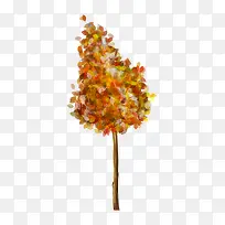 彩色树叶丛-空若网 彩色树叶丛-空若网