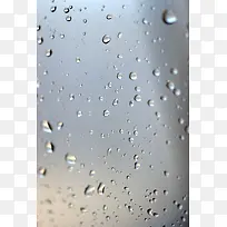 ¶�鲣������-������