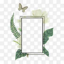 夏季植物边框-空若网 夏季植物边框-空若网