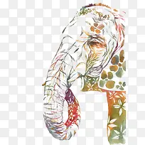 彩色忧伤的大象-空若网 彩色忧伤的大象-空若网