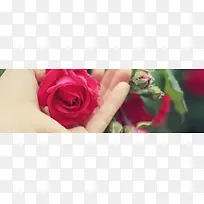 �Ա���ܰ����õ�廨��汳��ͼƬ-������