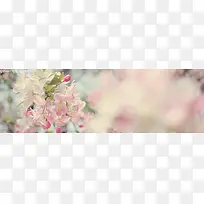 淘宝温馨淡雅广告背景图片-空若网 淘宝温馨淡雅广告背景图片-空若网