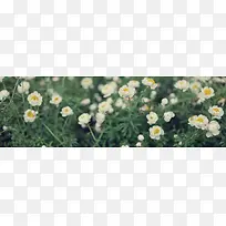 Ψ����ɫ���亣������-������