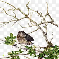 现代简约黑色树枝-空若网 现代简约黑色树枝-空若网