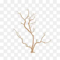 �ִ���Լ��ɫ��֦-������