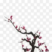 现代简约粉色树枝-空若网 现代简约粉色树枝-空若网