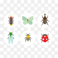 飞行昆虫背影-空若网 飞行昆虫背影-空若网