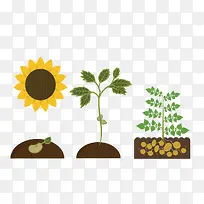 ʸ�����Ͳ�-������