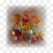 手绘花草素材鲜花花卉-空若网 手绘花草素材鲜花花卉-空若网