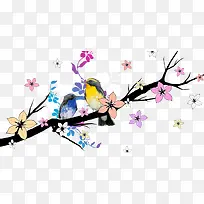 数枝和小鸟-空若网 数枝和小鸟-空若网