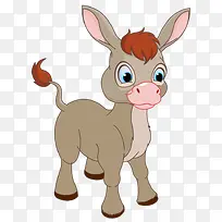 可爱的小动物-空若网 可爱的小动物-空若网