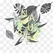 手绘叶子素材-空若网 手绘叶子素材-空若网