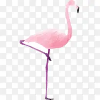 Ë®²ÊÊÖ»æ»ðÁÒÄñ×°Êβå»-¿ÕÈôÍø Ë®²ÊÊÖ»æ»ðÁÒÄñ×°Êβå»-¿ÕÈôÍø