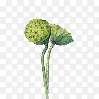 ˮ������-������