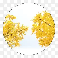 ���������ռ�Լ�����ɫ-������