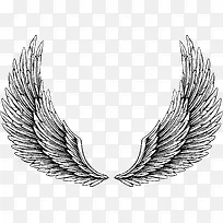 羽翼-空若网 羽翼-空若网