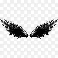 羽翼-空若网 羽翼-空若网