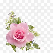 ��ɫ����-������