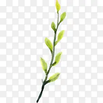 水彩草青色嫩芽-空若网 水彩草青色嫩芽-空若网