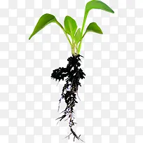 ²Ý-¿ÕÈôÍø ²Ý-¿ÕÈôÍø