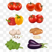 矢量新鲜蔬菜-空若网 矢量新鲜蔬菜-空若网