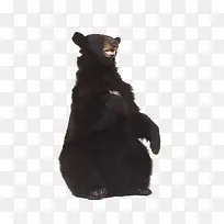 ���ܿɰ���������-������