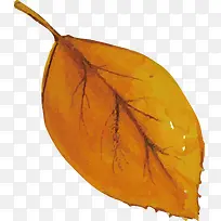 秋季落叶设计-空若网 秋季落叶设计-空若网