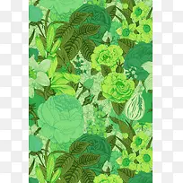 ���󱳾�-������