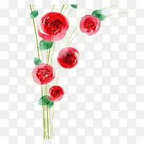 ÊÖ»æÃµ¹å»¨-¿ÕÈôÍø ÊÖ»æÃµ¹å»¨-¿ÕÈôÍø