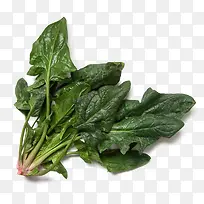 Óлú²¤²Ë-¿ÕÈôÍø Óлú²¤²Ë-¿ÕÈôÍø