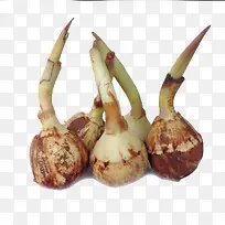 ʱ��Ӧ���߲˰״ȹ�-������