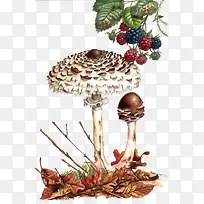 ʸ��Ұ��Ģ��-������