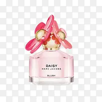 daisy��ɫ��ˮ-������