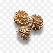 松树塔素材-空若网 松树塔素材-空若网